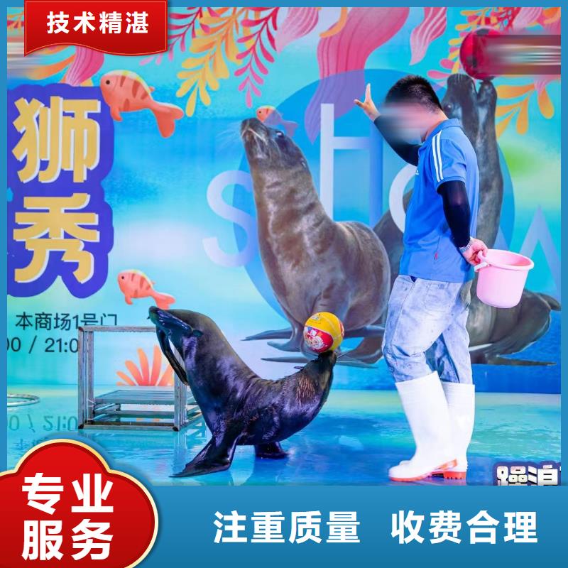 海洋生物展出租一手资源