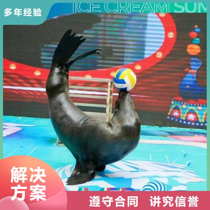 海洋生物展出租品质高于同行