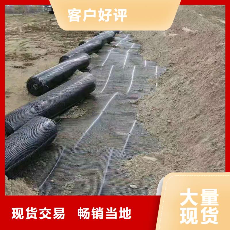 双向塑料土工格栅供应商