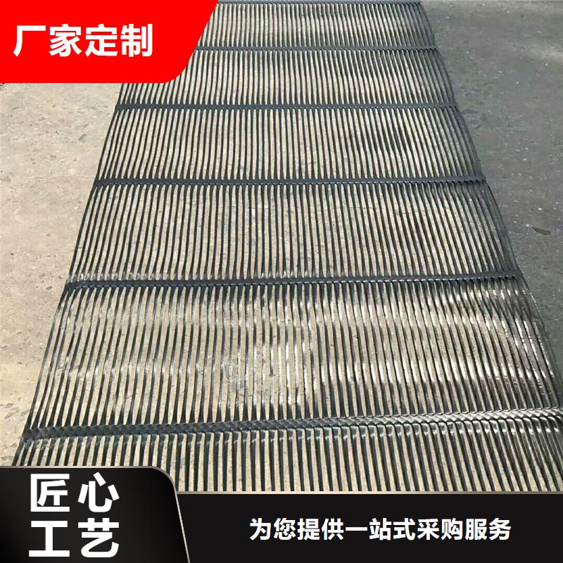 土工格栅\抗裂贴【双向塑料土工格栅】支持批发零售