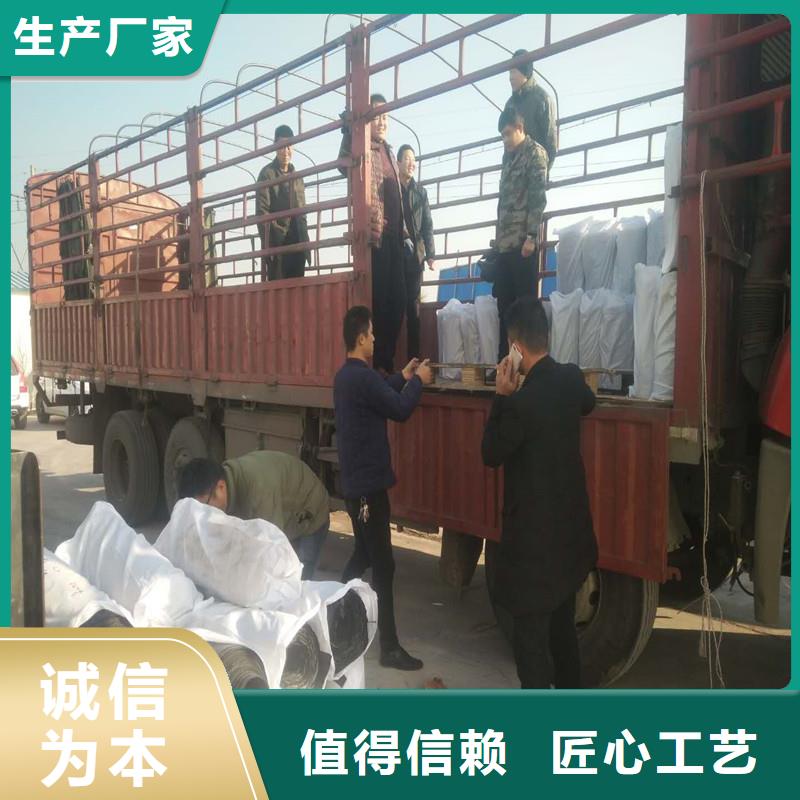 塑料土工格栅实力厂家