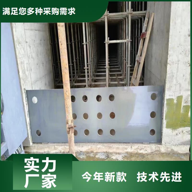 优选：电动防护铅门基地