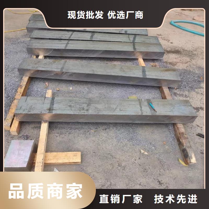 实力雄厚的防辐射铅块生产厂家