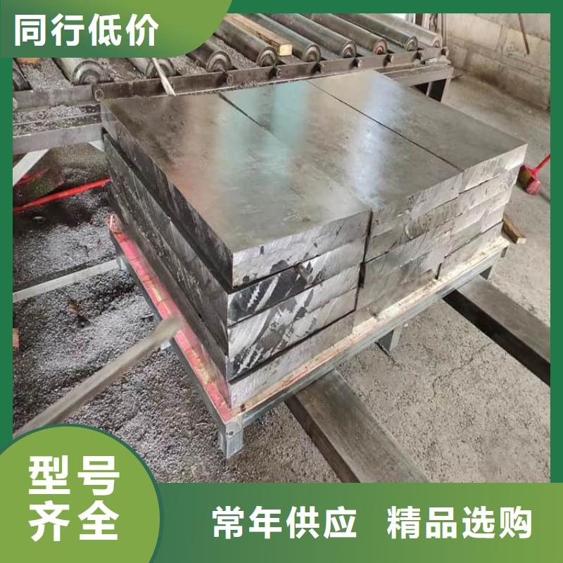 屏蔽核辐射用铅块-厂家热销