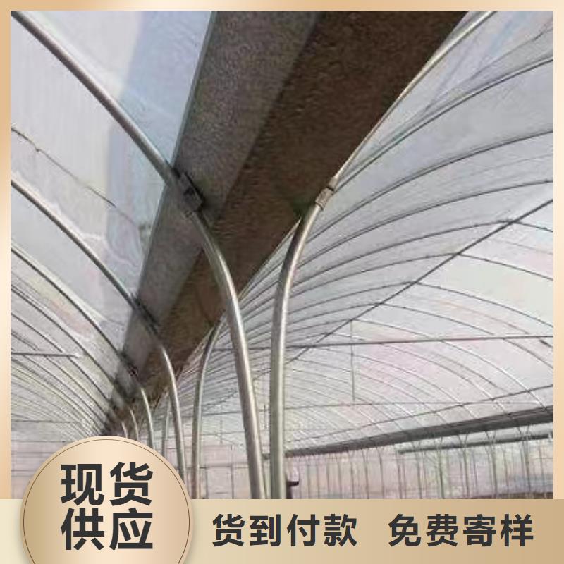 广东省深圳南澳街道GP832镀锌大棚钢管工厂直销