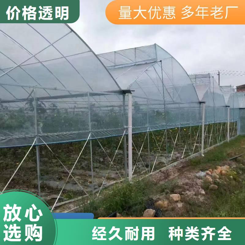 连栋大棚多少钱一平方实力厂家