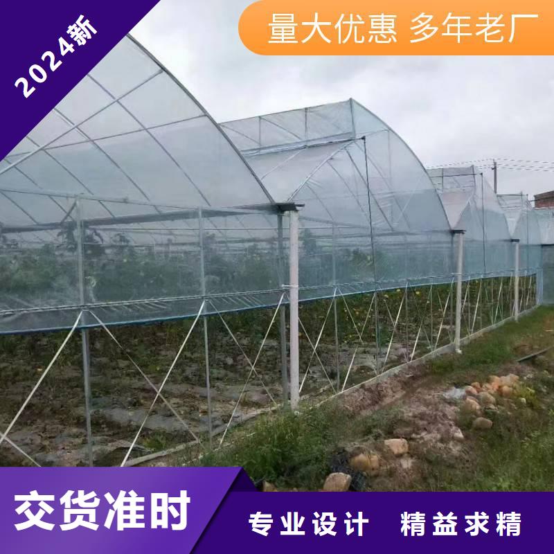 遂昌县连栋温室大棚建造商安装