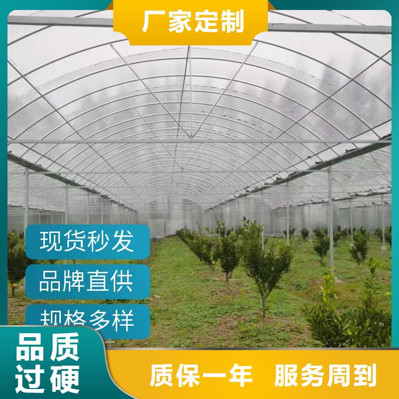 蔬菜温室大棚钢管厂家批发欢迎电询2025-全国配送