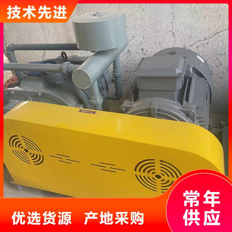 山东临风科技股份两叶罗茨风机LFSR300