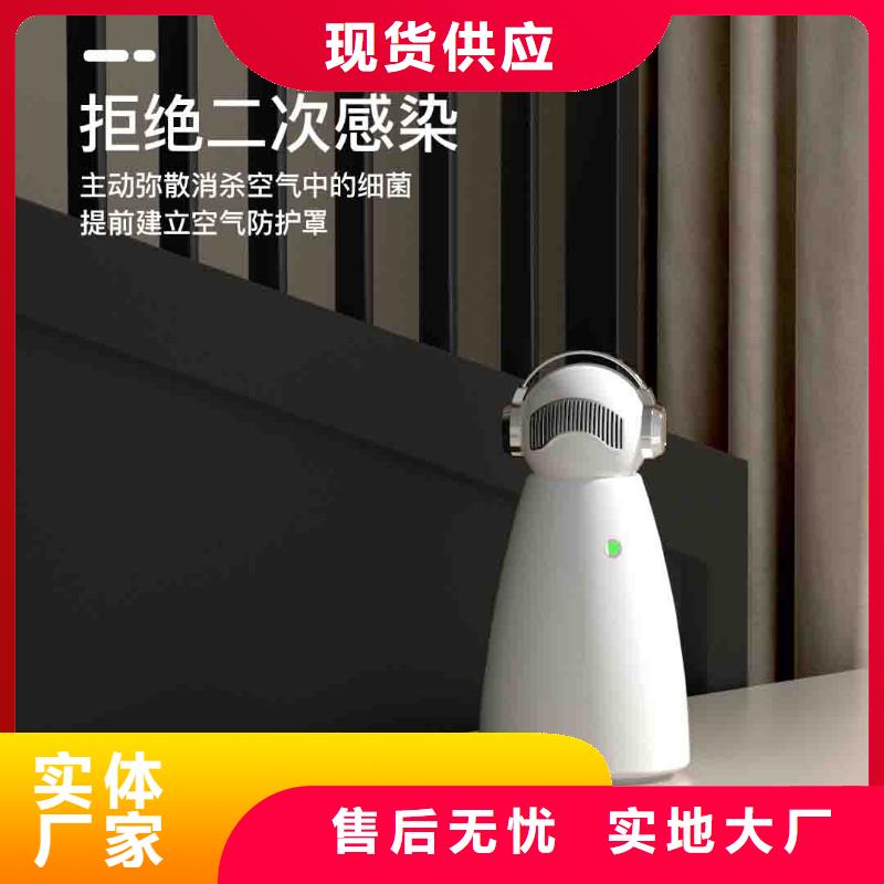 小白孕妇空气守护机智能空气净化器批发拥有核心技术优势