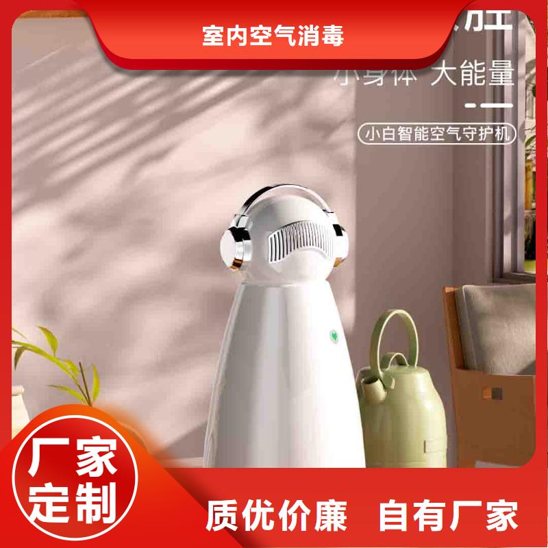 小白孕妇空气守护机,空气消毒机价格正规厂家