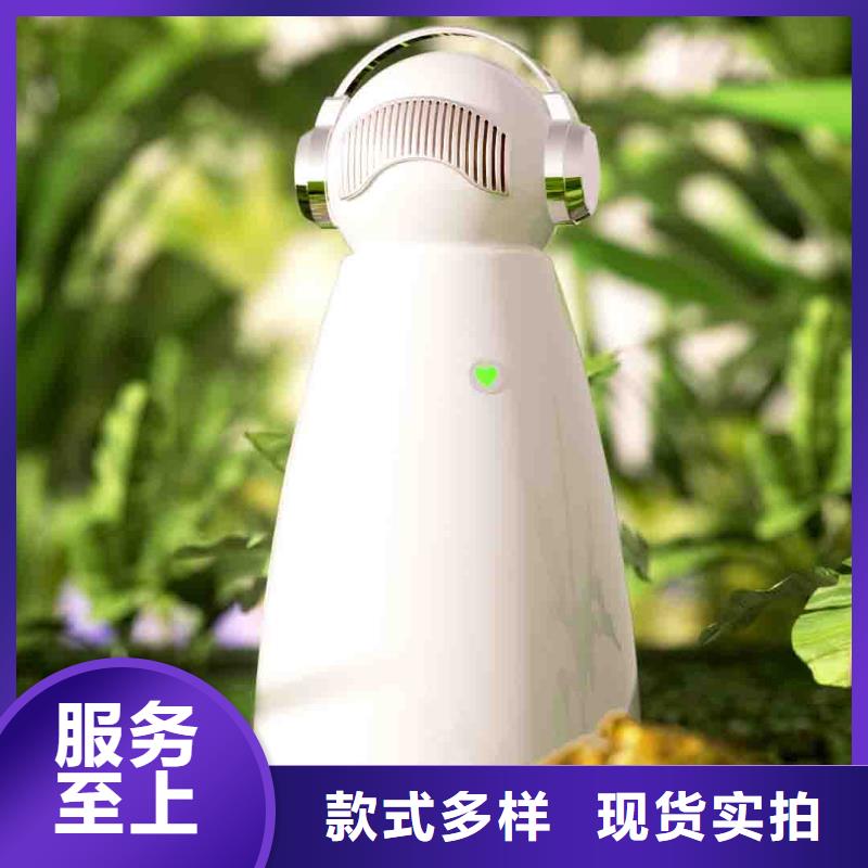 小白空气守护机【小白空气守护机】供货及时