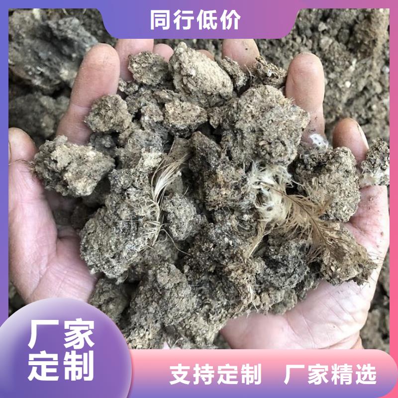 干鸡粪用于果树施肥