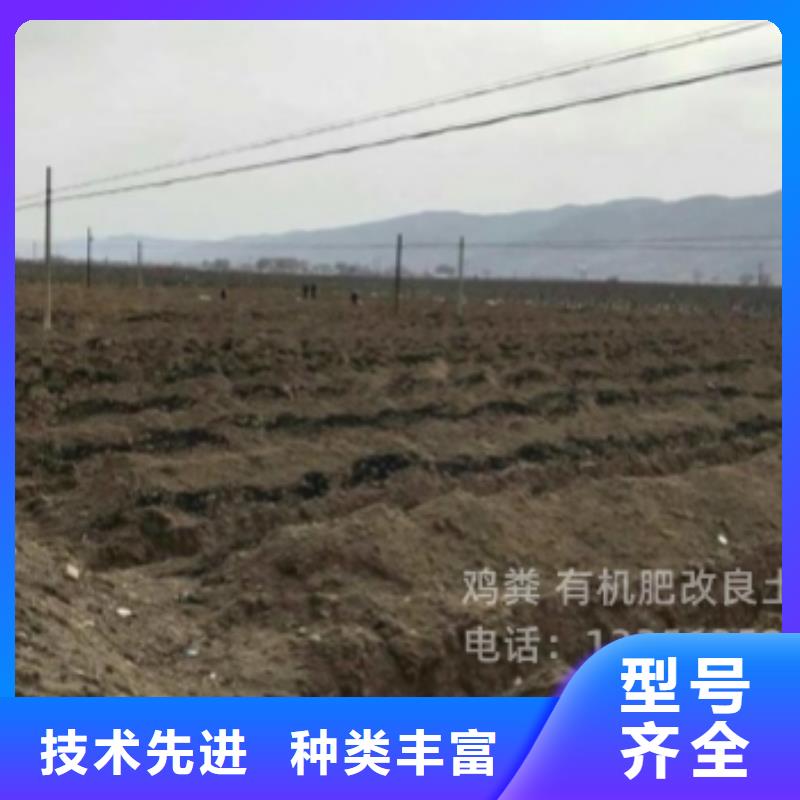 汕头市中国（汕头）华侨经济文化合作试验区发酵鸡粪肥沃耕田