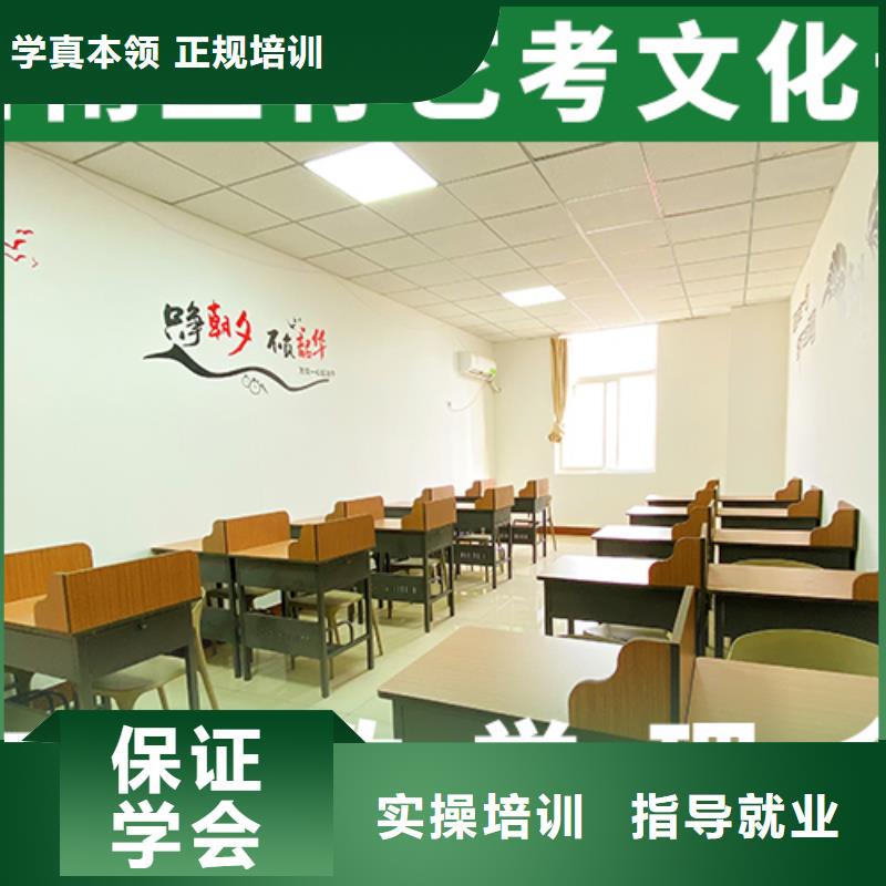 艺考文化课辅导艺考一对一教学老师专业