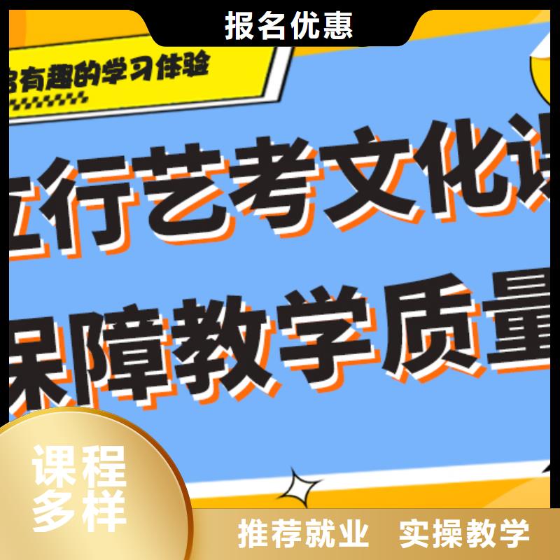 艺考生文化课-【高考小班教学】理论+实操