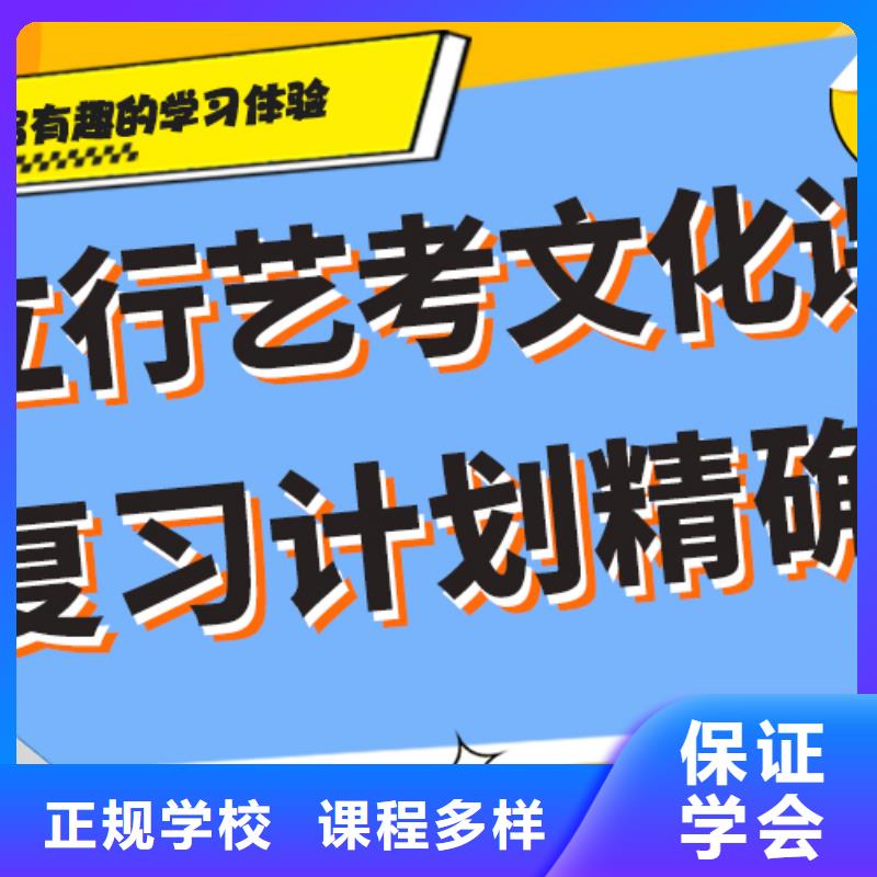 艺考文化课补习【艺考培训学校】老师专业