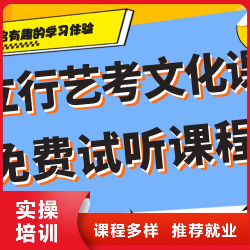 艺考文化课补习高考语文辅导学真技术