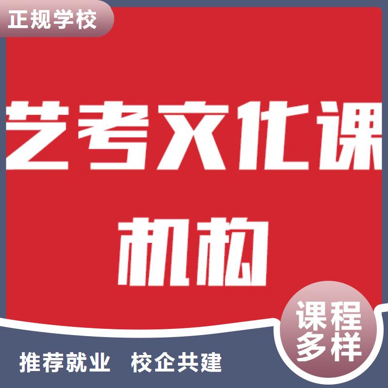 艺考文化课培训美术艺考课程多样