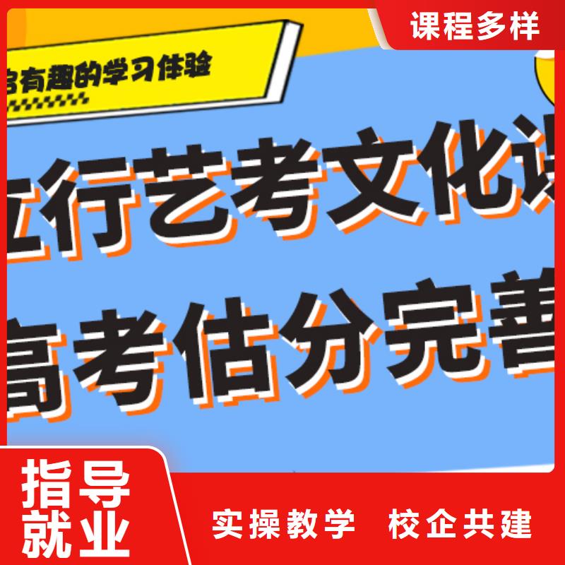 艺考生文化课-艺考文化课冲刺班老师专业