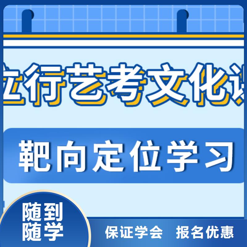 艺考文化课艺考文化课冲刺师资力量强