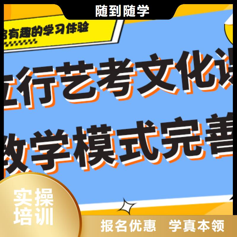 艺考文化课艺考文化课冲刺师资力量强