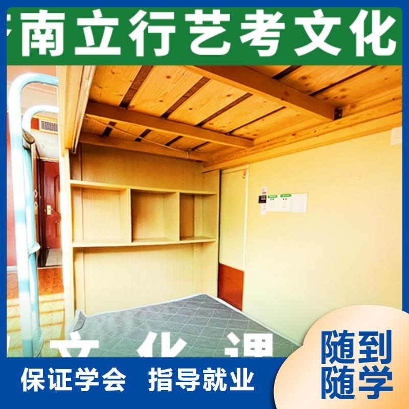 艺考文化课集训班音乐艺考培训老师专业