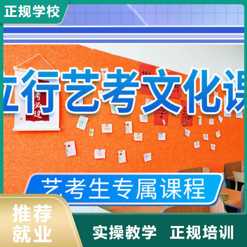 艺考文化课培训艺考辅导机构手把手教学