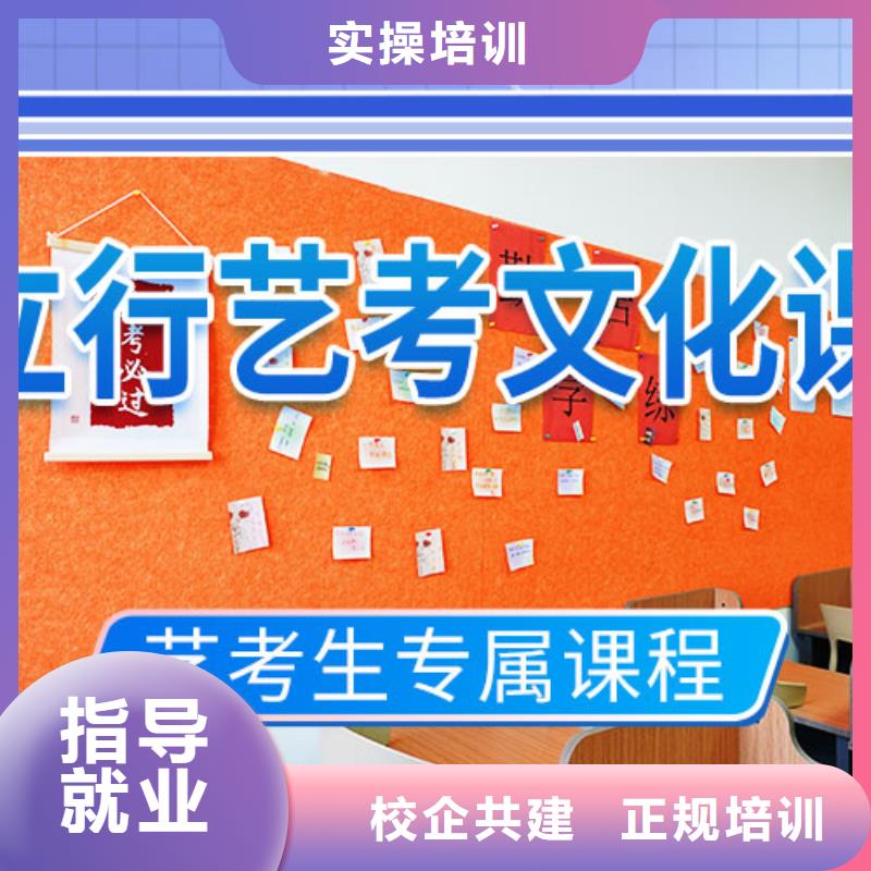 艺考文化课培训艺考辅导机构手把手教学
