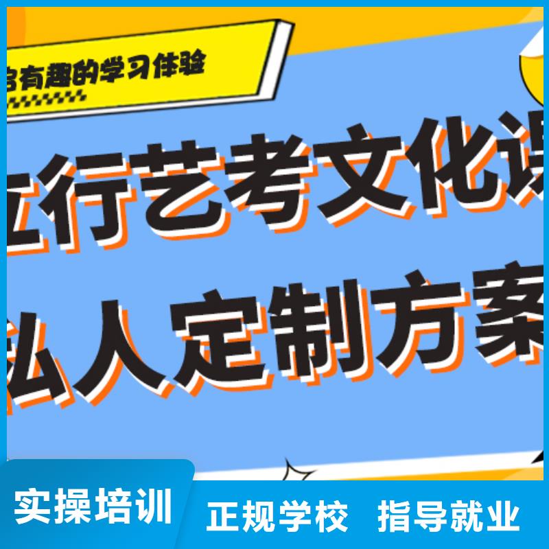 艺术生文化课培训补习怎么样针对性教学