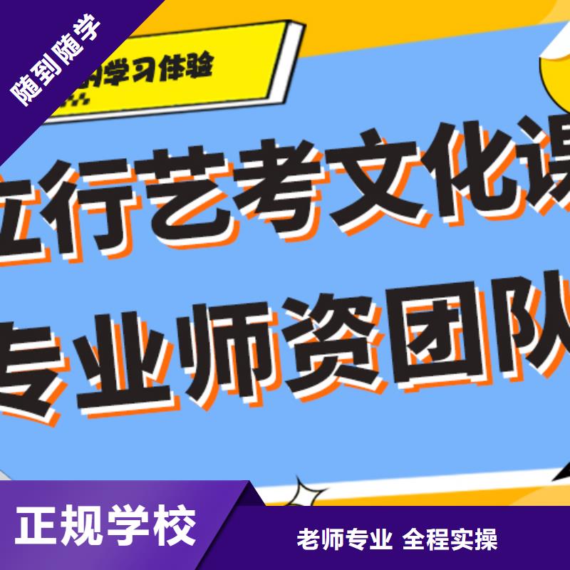 怎么样艺考生文化课培训机构针对性教学