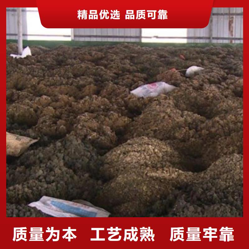 【含铜泥】,回收二手光伏板专业评估