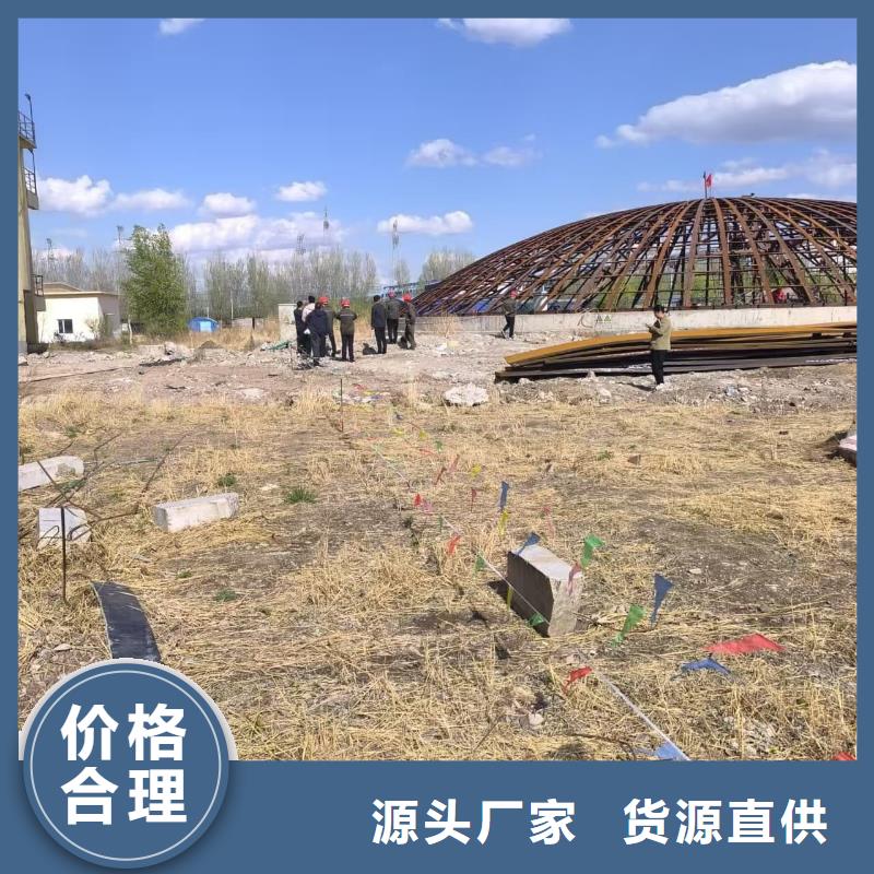 10万吨粉煤灰钢板仓成功案例