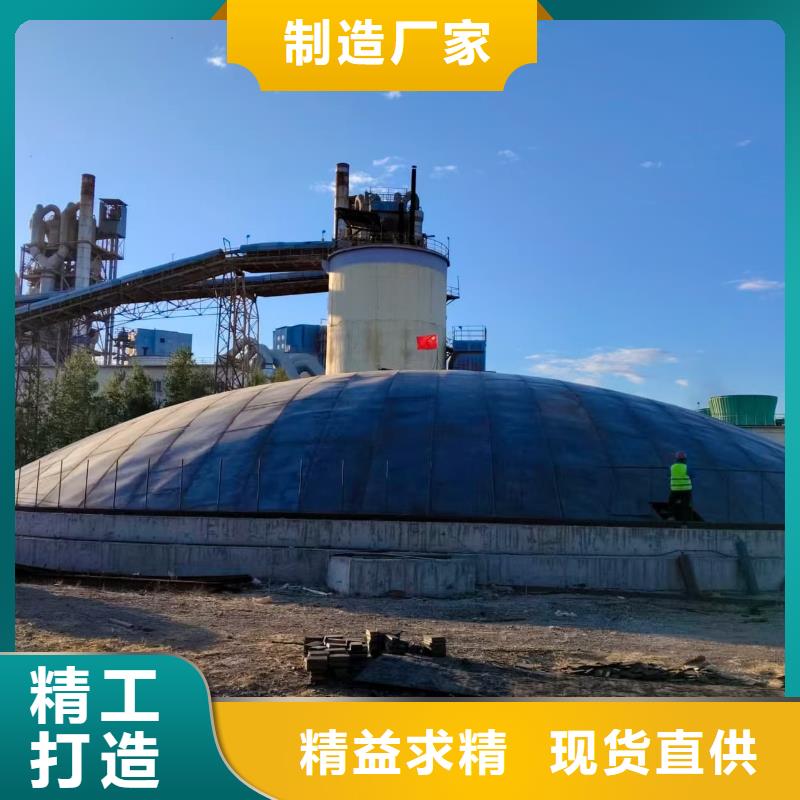 定做粉煤灰储存罐的厂家