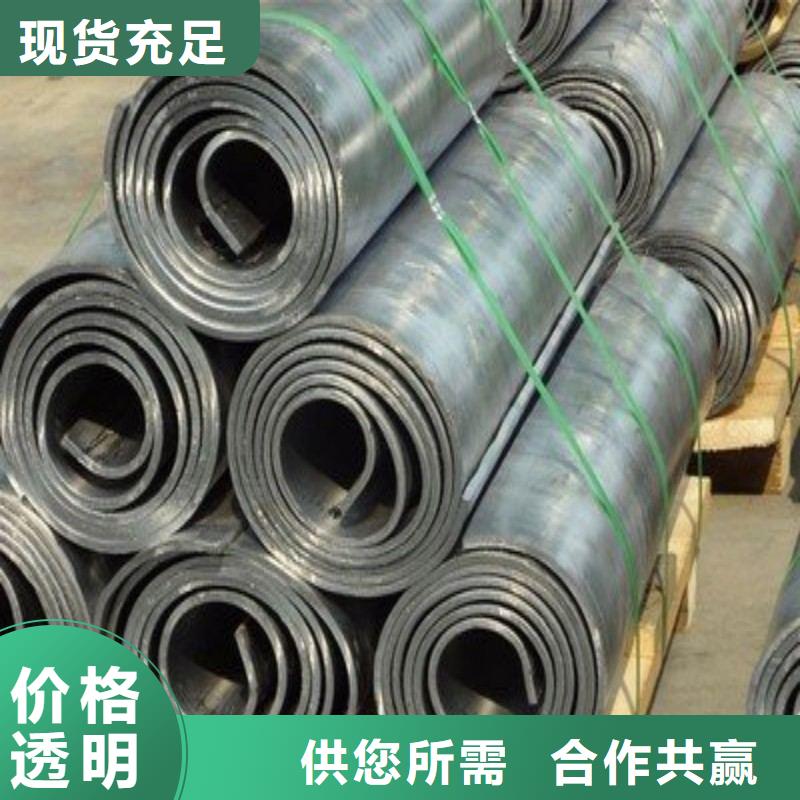 厂家批量供应加速器防护门