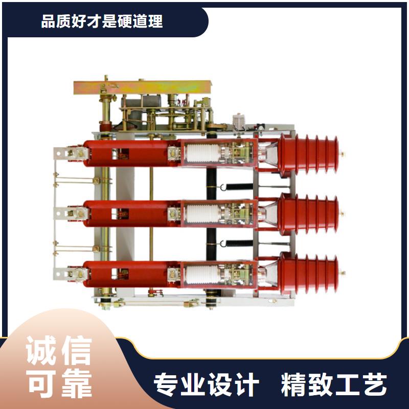 SF6-12D/T125-50熔断器-组合式六氟化硫负荷开关