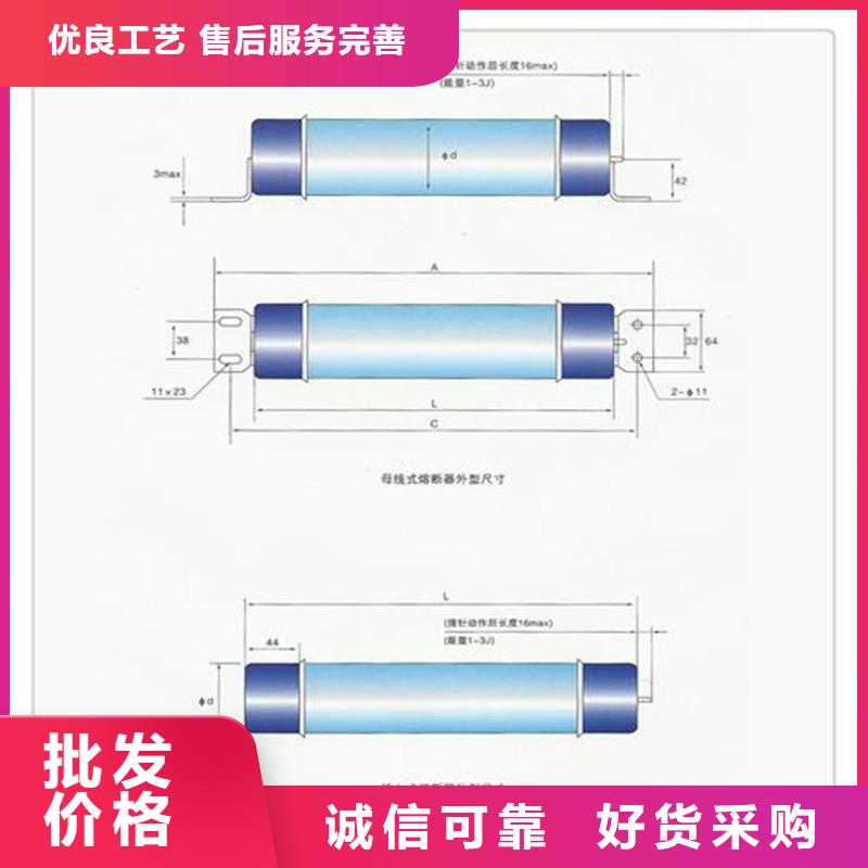 限流熔断器-高压开关柜专注产品质量与服务