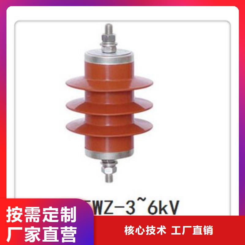 Y1.5W-4.8/12高压避雷器