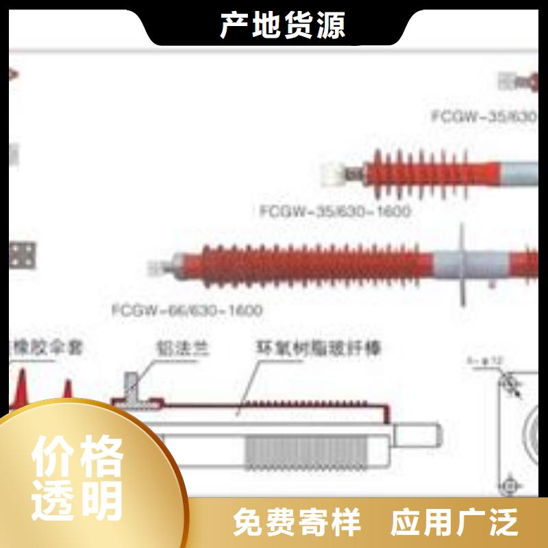 FCGW-12/400高压复合穿墙套管