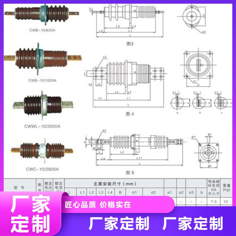 FCRG-10/3150硅胶套管