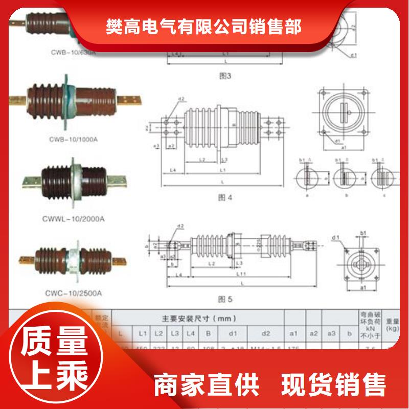 FCWW-20/3150A高压穿墙套管