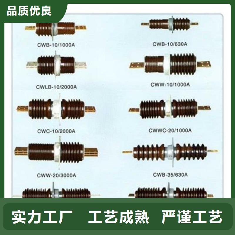 CWL-20/1000A陶瓷穿墙套管樊高