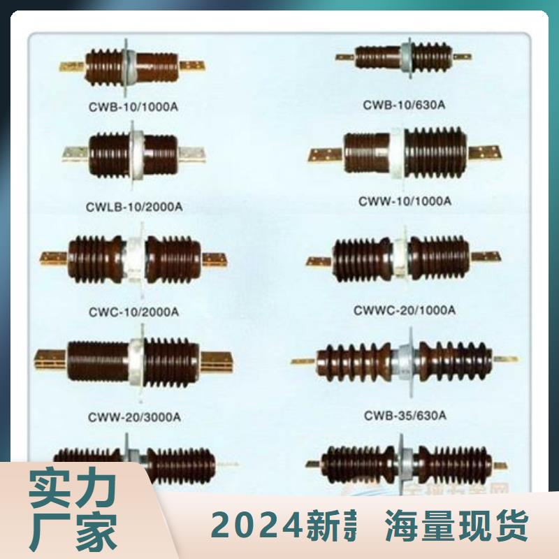 CWB-10/4000高压穿墙套管樊高