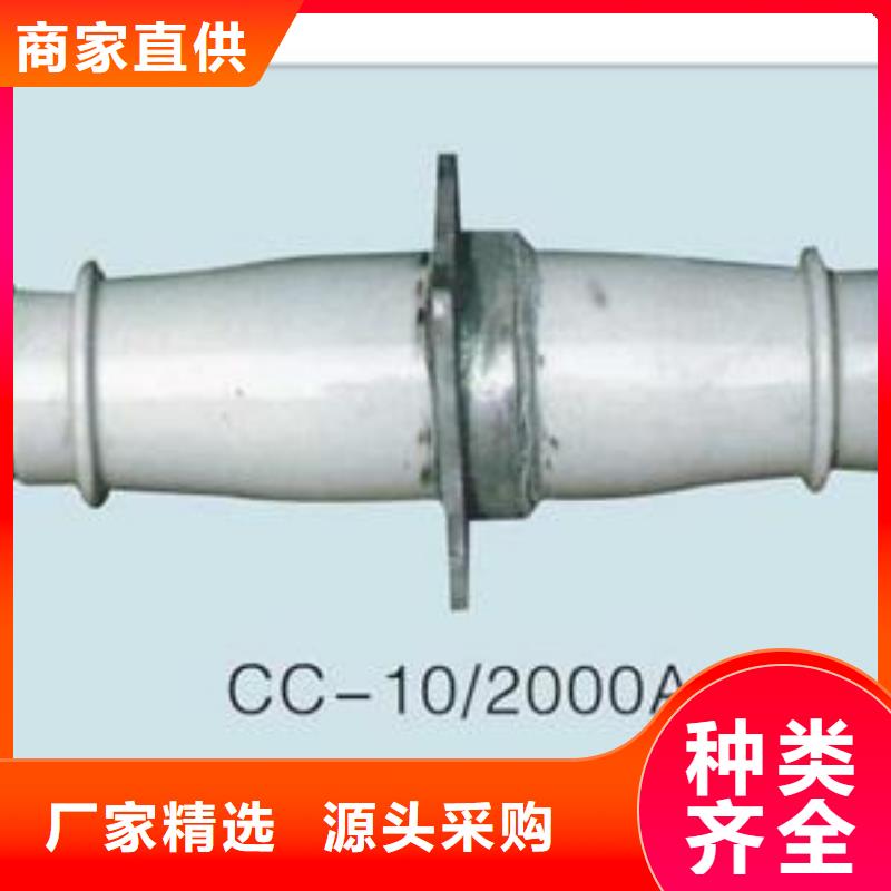 CWL-20/1000A陶瓷穿墙套管樊高