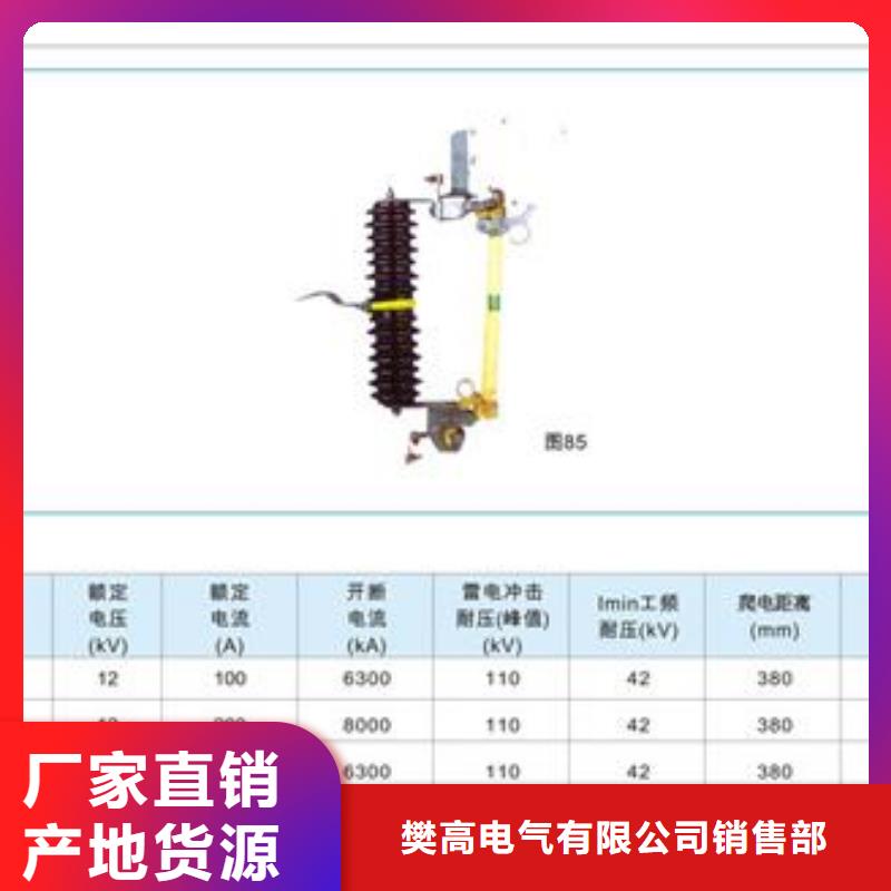 XRNT-10/50A限流熔断器厂家