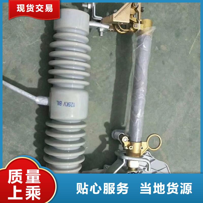 BRN-10/60A高压限流熔断器