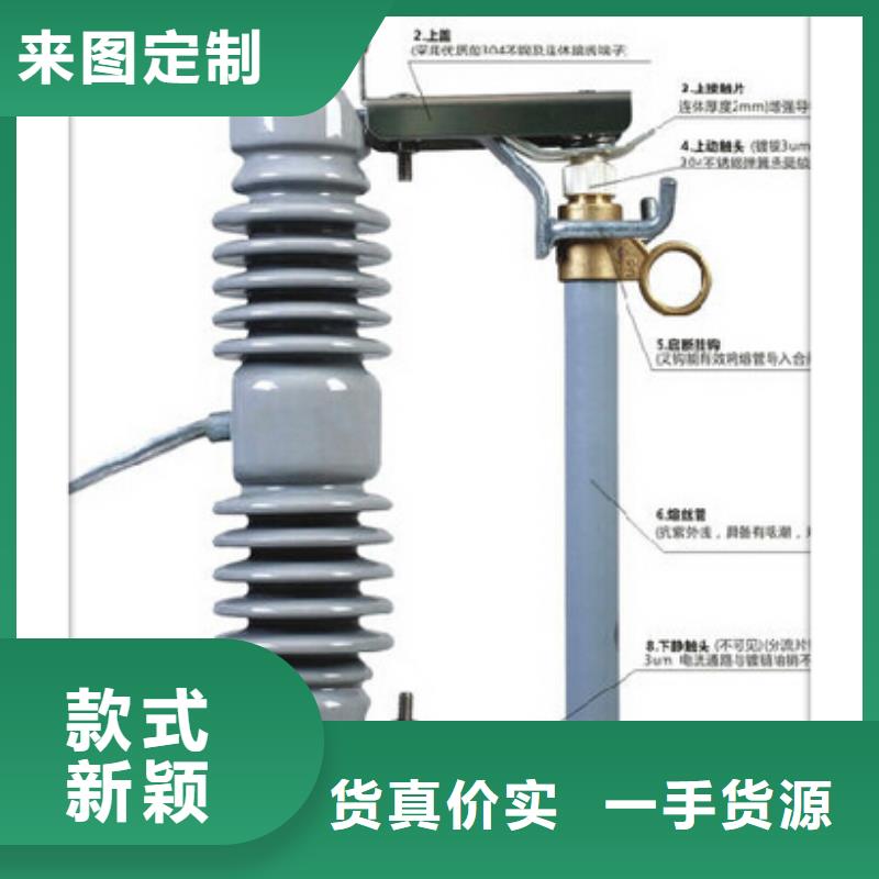 BRN-10/60A高压限流熔断器