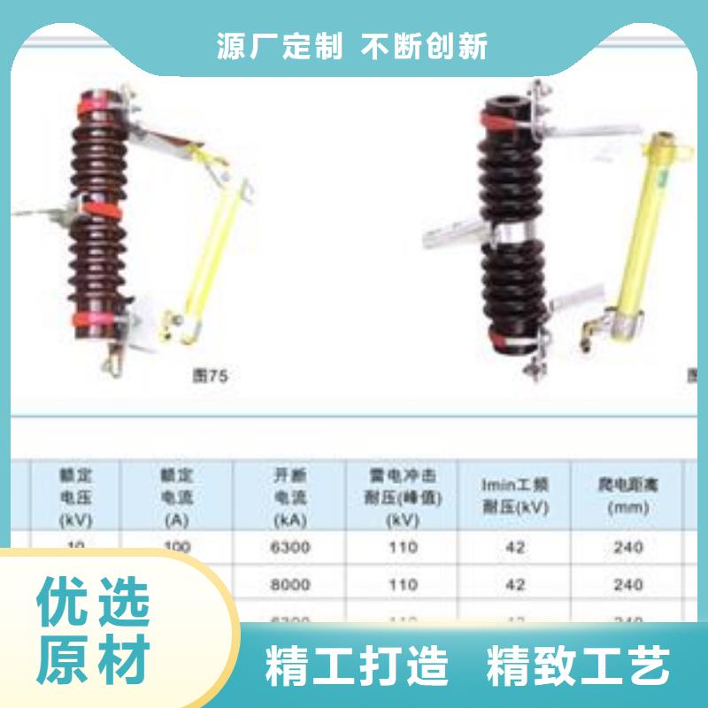 BRN-10/60A高压限流熔断器