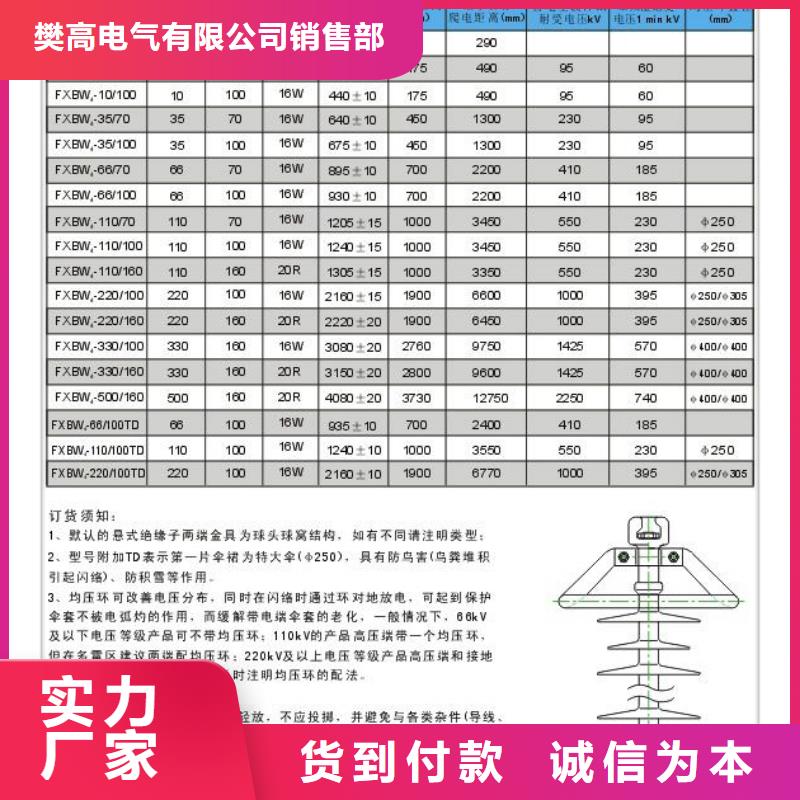 ZJ-10Q/85*145环氧树脂绝缘子