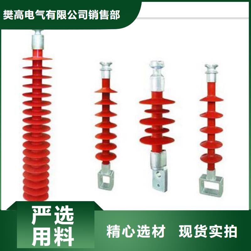 FZSW-12/5复合绝缘子